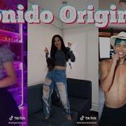 Sonido Original Tiktok