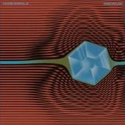 Tame Impala Disciples Extended Version