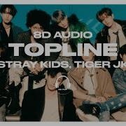 8D Stray Kids Topline