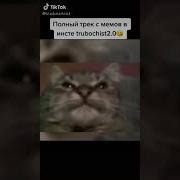 Меме Мав Мав Мав