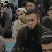 Салохидин Домила Янги Маруза