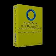 Pfx Scalper Ea