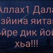 Седа Седа Старая Чеченская Песня