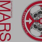 30 Seconds To Mars The Story