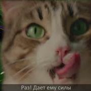 Cекрет Энергии Kitekat Feat Кот Борис