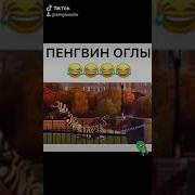 Тебя Хоть Раз 4 Пингвина В Жопу Трахали