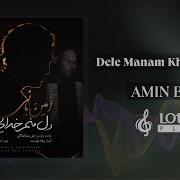 Dele Manam Khodaei Dore