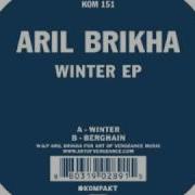 Aril Brikha Winter