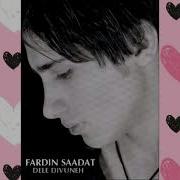 Fardin Saadat