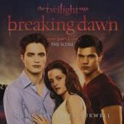 A Wolf Stands Up From The Twilight Saga Breaking Dawn Part 1