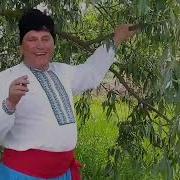 Ой Чула Чула Чула Ой Чула Чула Ти