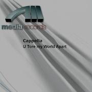 U Tore My World Apart Radio Edit Mix