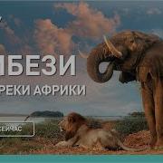 Discovery Channel Russia