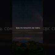 Я Ненавижу В Себе Все И В Ненависти Утопаю А Ты Прекрасна Словно Сон