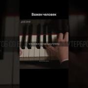 Не На Вечер А На Век Человеку Нужен Человек