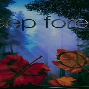 Deep Forest Сборник