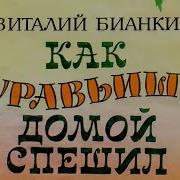 В Бианки Как Муравьишка Домой Собирался