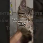 Поднялся Пошел Жить Жизнь