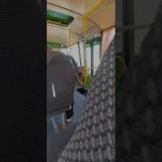 Хруст Коробки Передач Паз