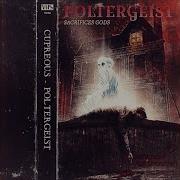 Poltergeist Cupreous