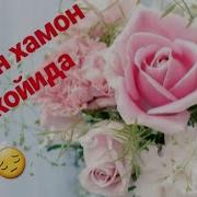Одамларга Не Булди Кайгадур Шошган