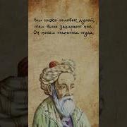 О Жизни Великих Людей