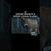 Жестокие Эльфы