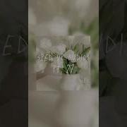 If I Love You Was A Promise Speed Up
