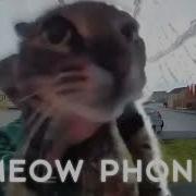 Meow Phonk By Hxxerhj