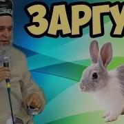 Хочи Мирзо 2017 Гушти Харгуш Харомай