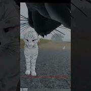 Новый Клип О Котах Воитель