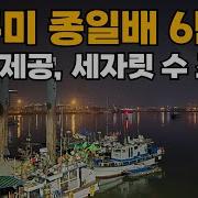 쭈꾸미 낚시 인천