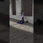 Вивальди Эльфийская Ночь Слушать