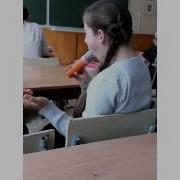 Телка Сасет