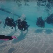 Padi Diving Courses