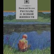 Рассказы О Всякой Живности Детям Василий Белов Читает Павел Беседин