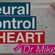 Heart Control