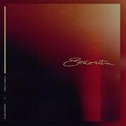 Camila Cabello Señorita Instrumental