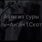Мухаммад Аль Люхайдан Коран Сура Аль Анам Скот
