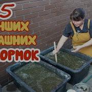От Того Что Есть