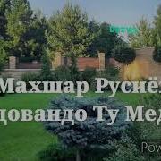 Гахе Тарки Вафо Кардам