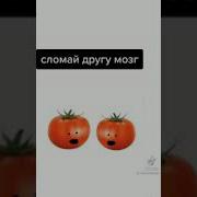 Жил Был Помидор Тик Ток