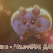 Шоу Маска Хомяк Дождь