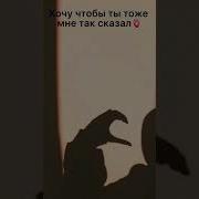 За Тебя Весь Мир Поставлю На Колени Тик Ток