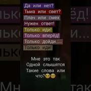 Ночью Мрак Светом Озарила