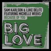 Sam Karlson Luke Delite Ft Michelle Weeks Because Of You Art Of Tones Remix