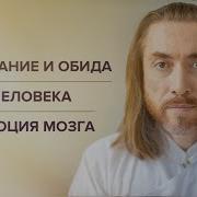 Страдание И Обида Аура Человека Эволюция Мозга