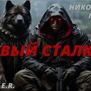 Первый Сталкер Часть 2