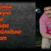 Рустам Гоипов Туй Хизматида