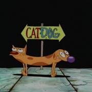 Cat Dog Slowed